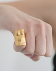 Anillo Venus