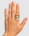 Anillo Venus Deconstruido